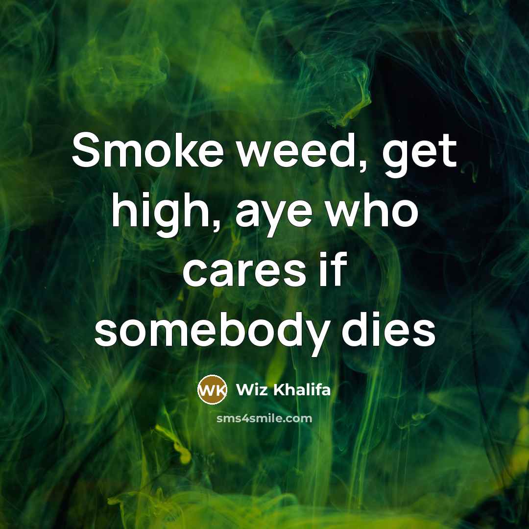 “Smoke weed, get high, aye who cares if somebody dies…” quote by Wiz Khalifa