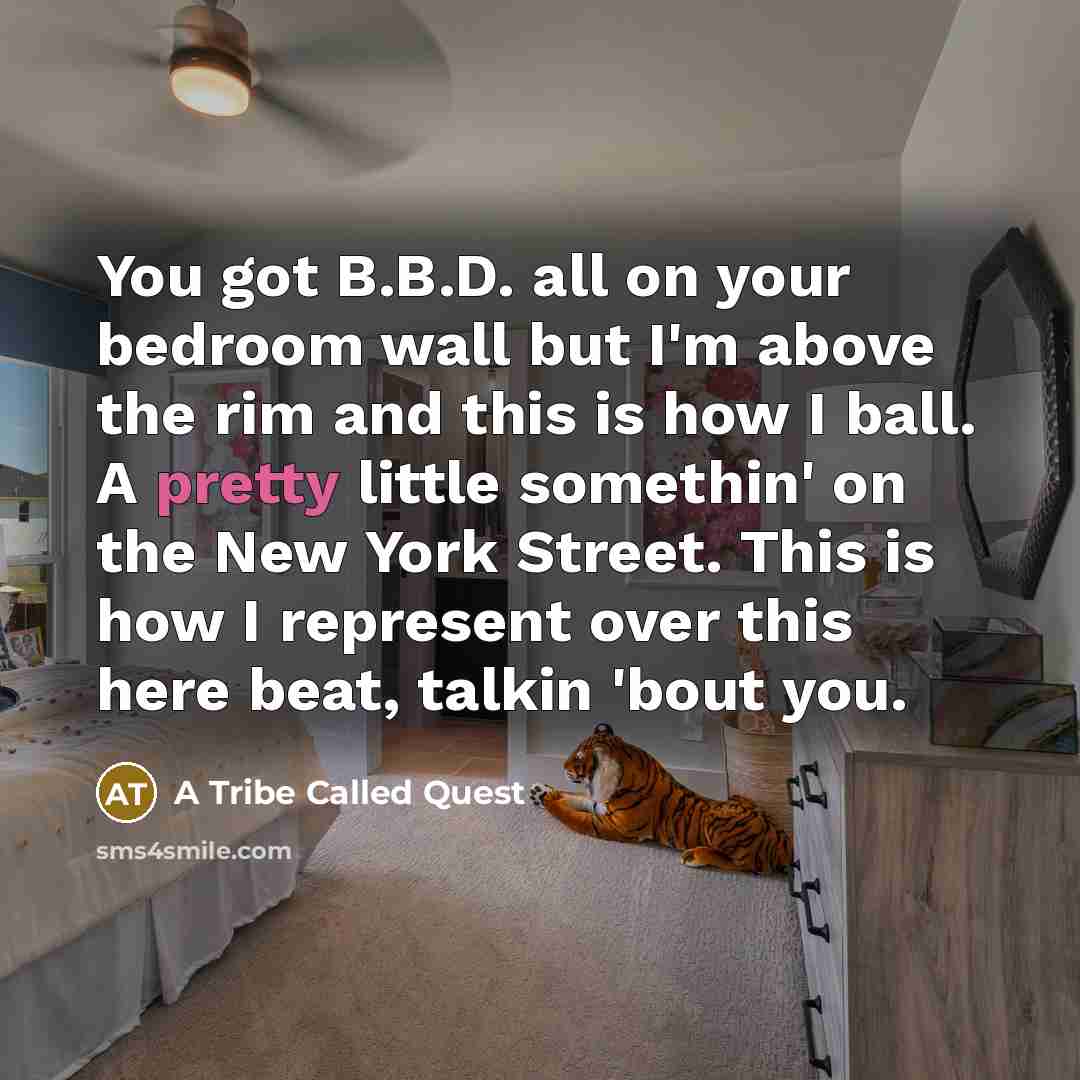 “You got B.B.D. all on your bedroom wall but I'm above the rim and this is how I ball. A pretty little somethin' on the New York Street. This is how I represent over this here beat, talkin 'bout you.” quote by A Tribe Called Quest