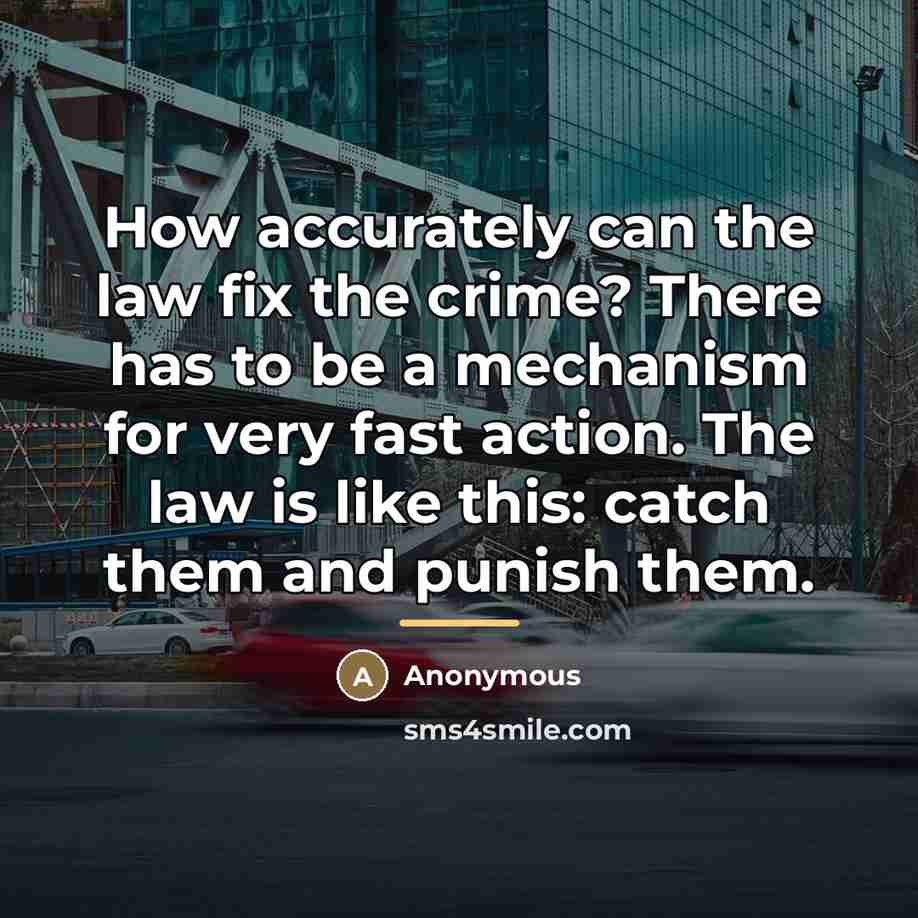 “How accurately can the law fix the crime? There has…” quote by Anonymous
