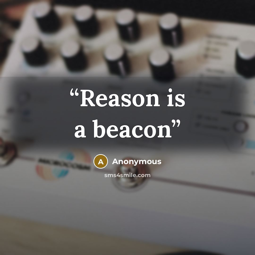 “Reason is a beacon” quote by Anonymous