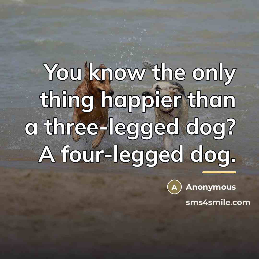 “You know the only thing happier than a three-legged dog?…” quote by Anonymous