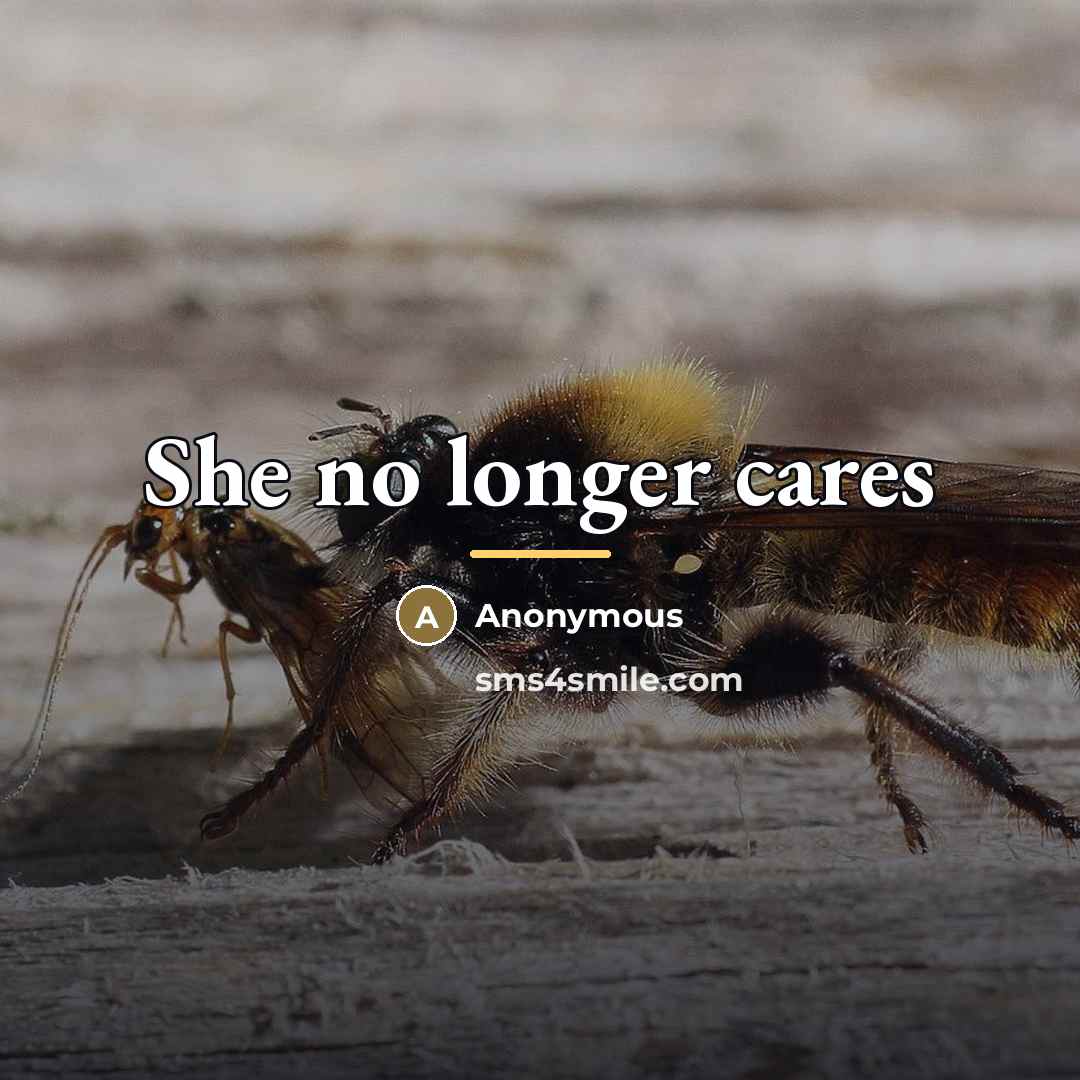 “She no longer cares…” quote by Anonymous