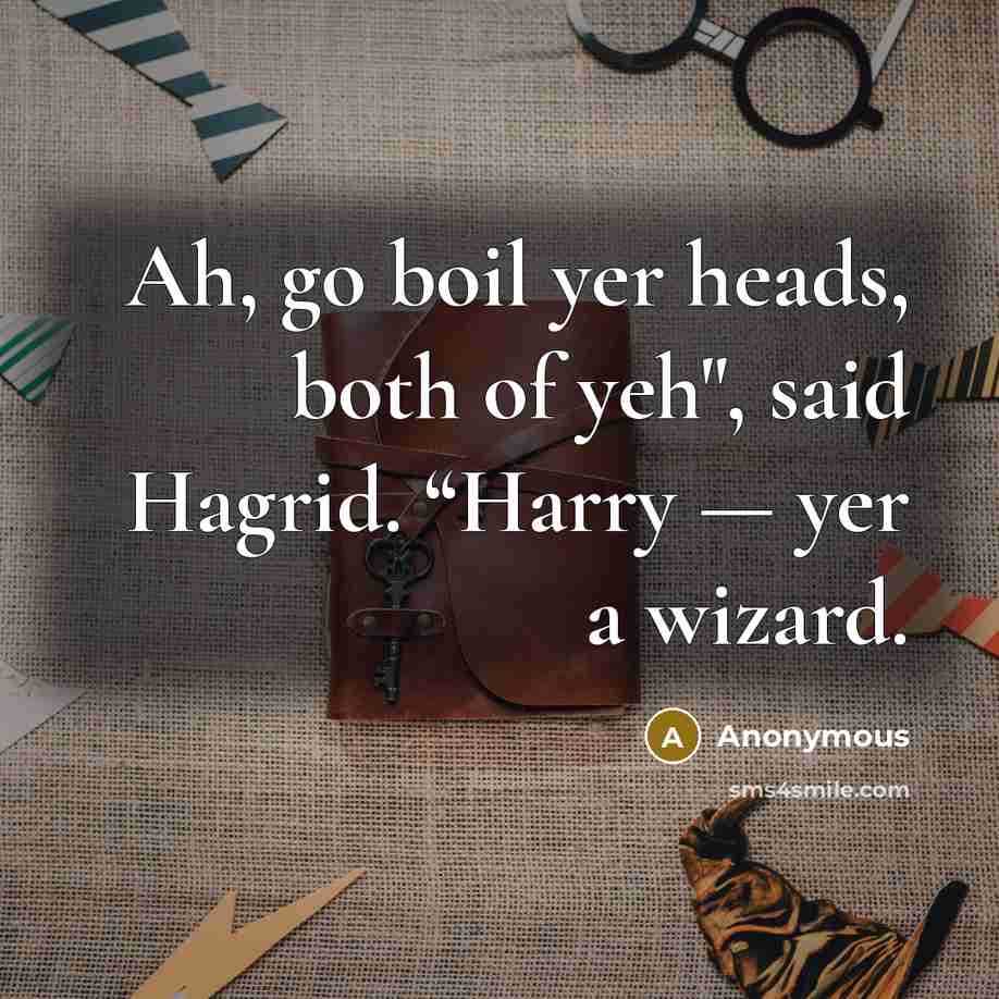 “Ah, go boil yer heads, both of yeh", said Hagrid.…” quote by Anonymous