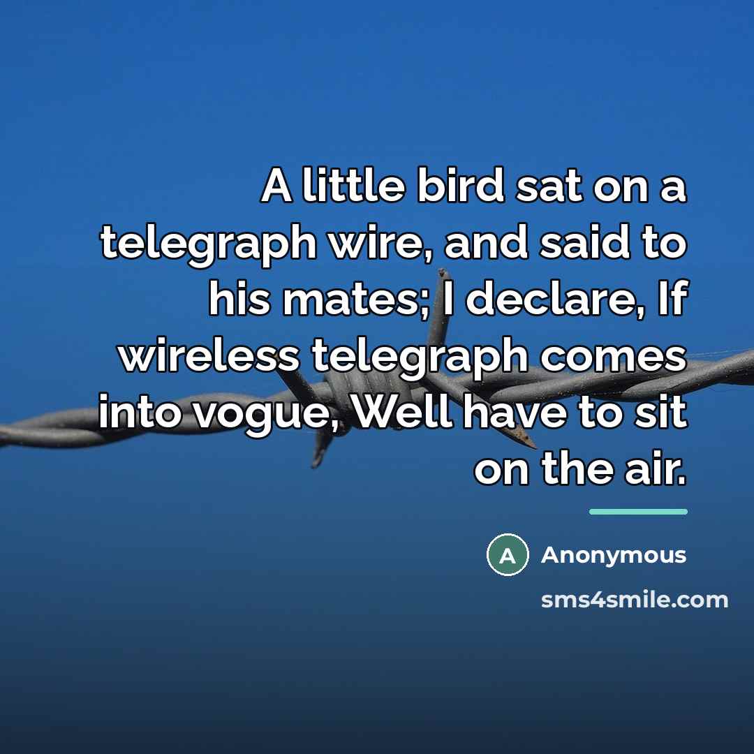 “A little bird sat on a telegraph wire, and said…” quote by Anonymous