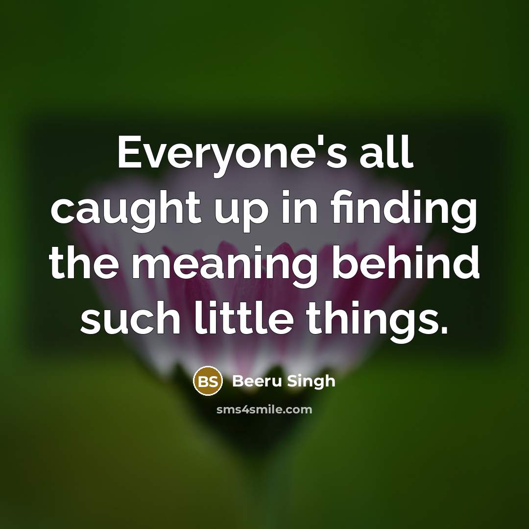 “Everyone's all caught up in finding the meaning behind such little things.” quote by Beeru Singh