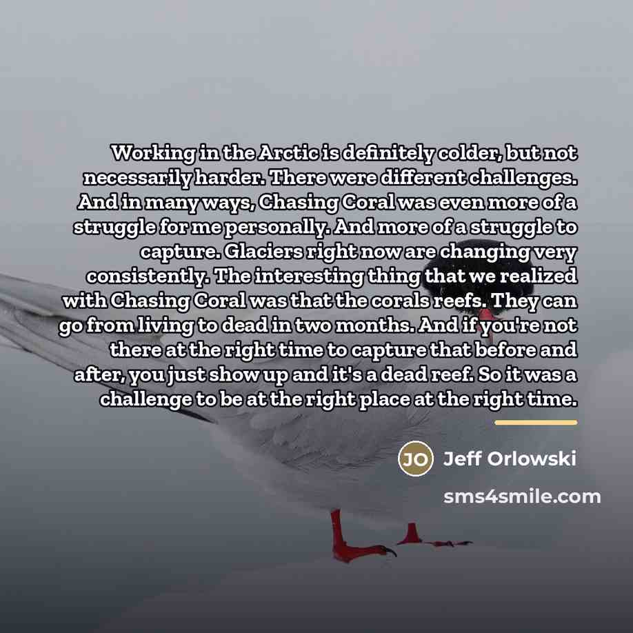“Working in the Arctic is definitely colder, but not necessarily…” quote by Jeff Orlowski
