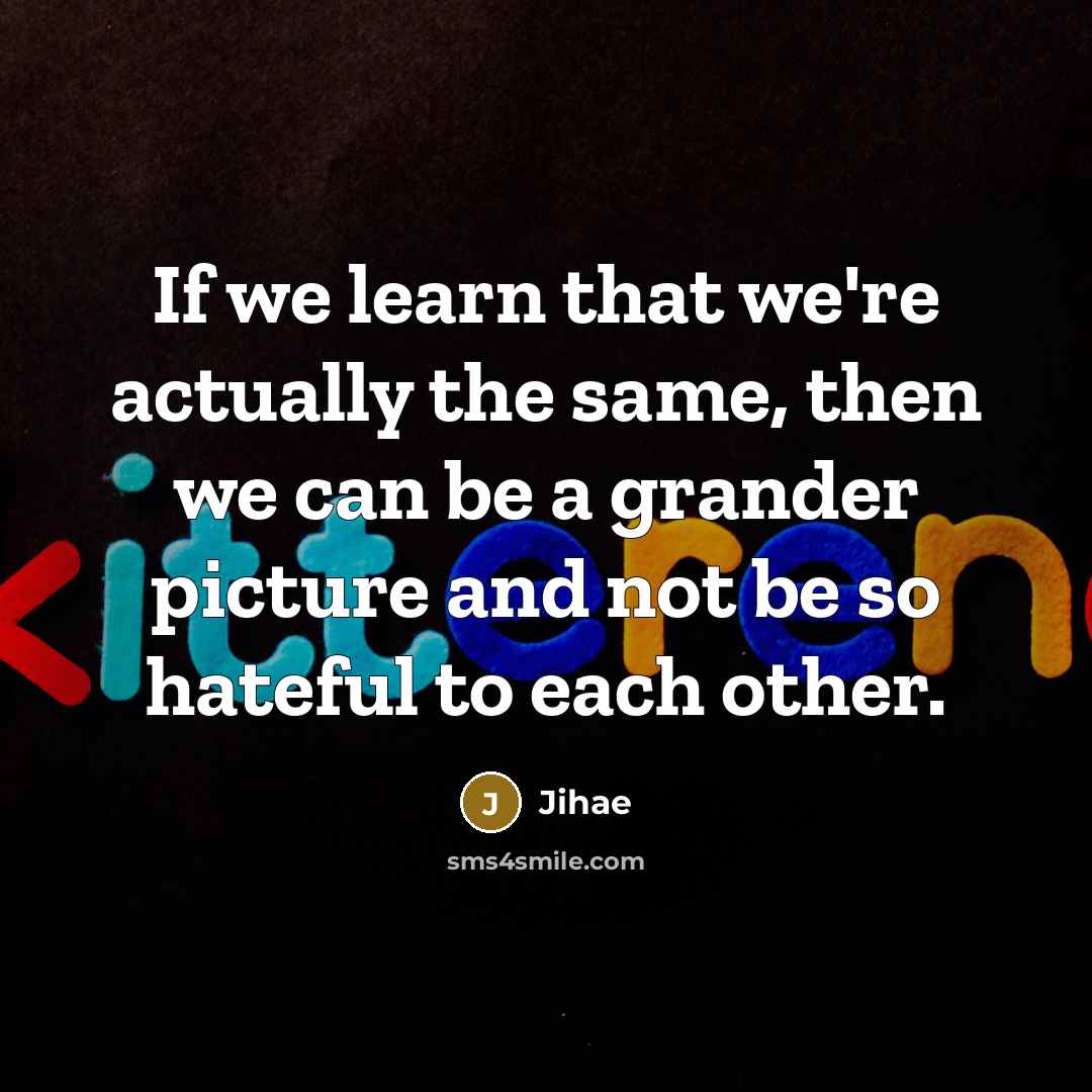 “If we learn that we're actually the same, then we can be a grander picture and not be so hateful to each other.” quote by Jihae