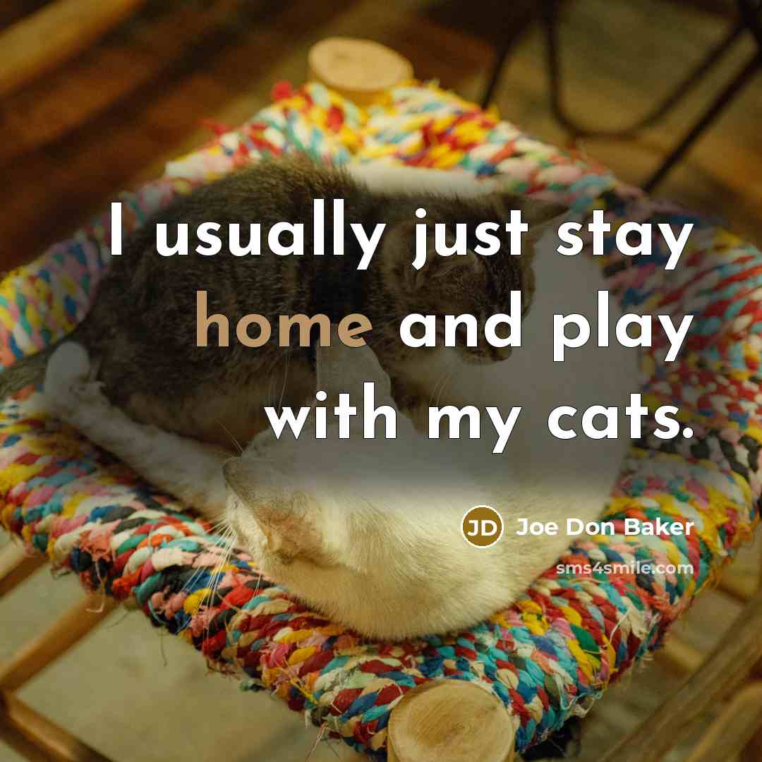 “I usually just stay home and play with my cats.…” quote by Joe Don Baker