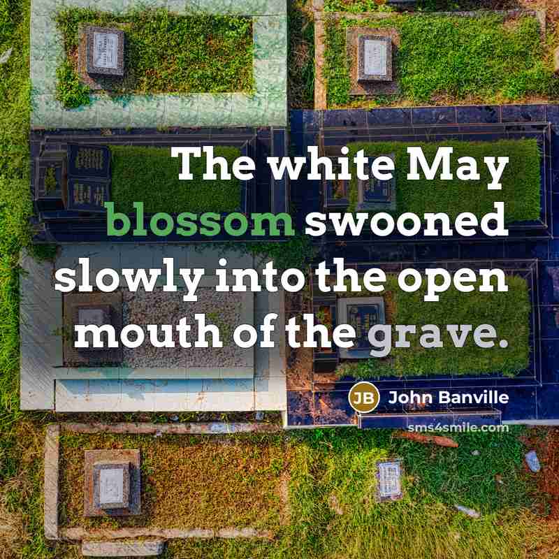 “The white May blossom swooned slowly into the open mouth of the grave.” quote by John Banville