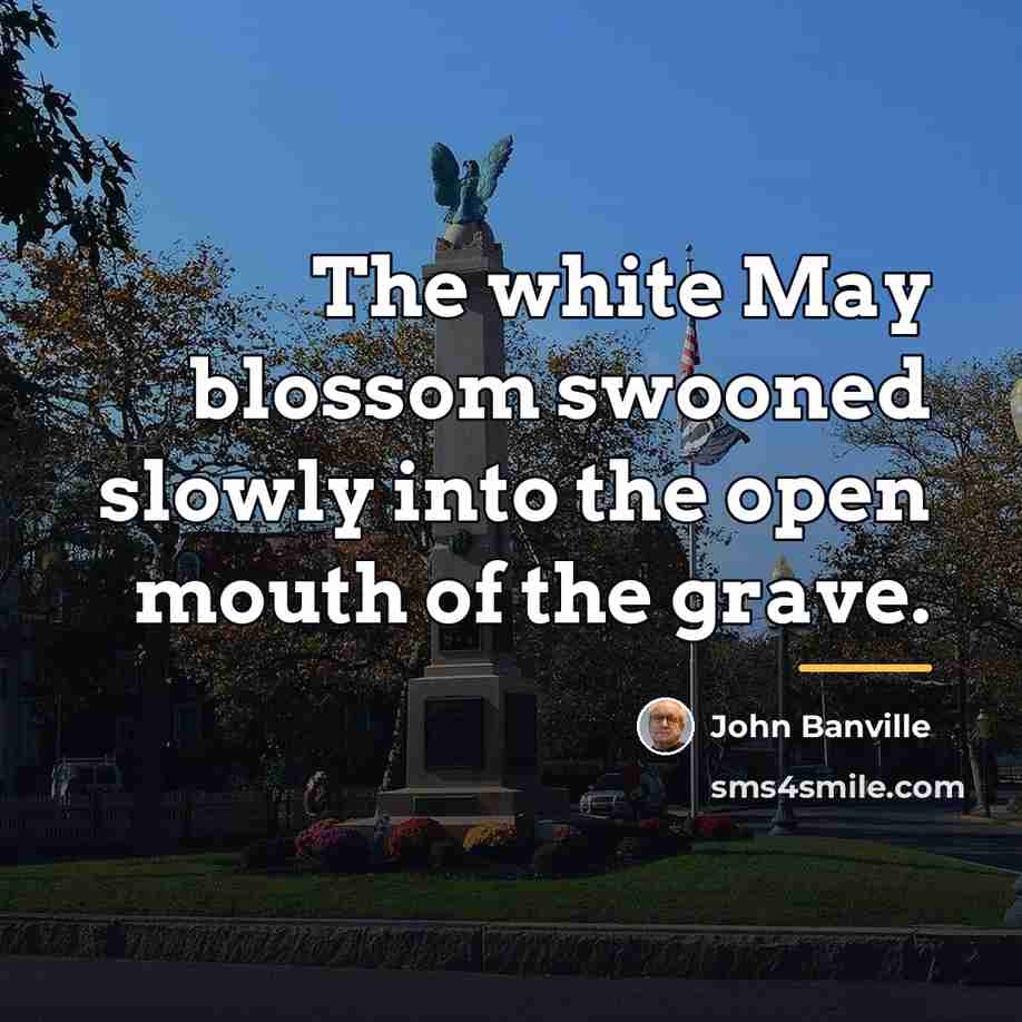“The white May blossom swooned slowly into the open mouth…” quote by John Banville