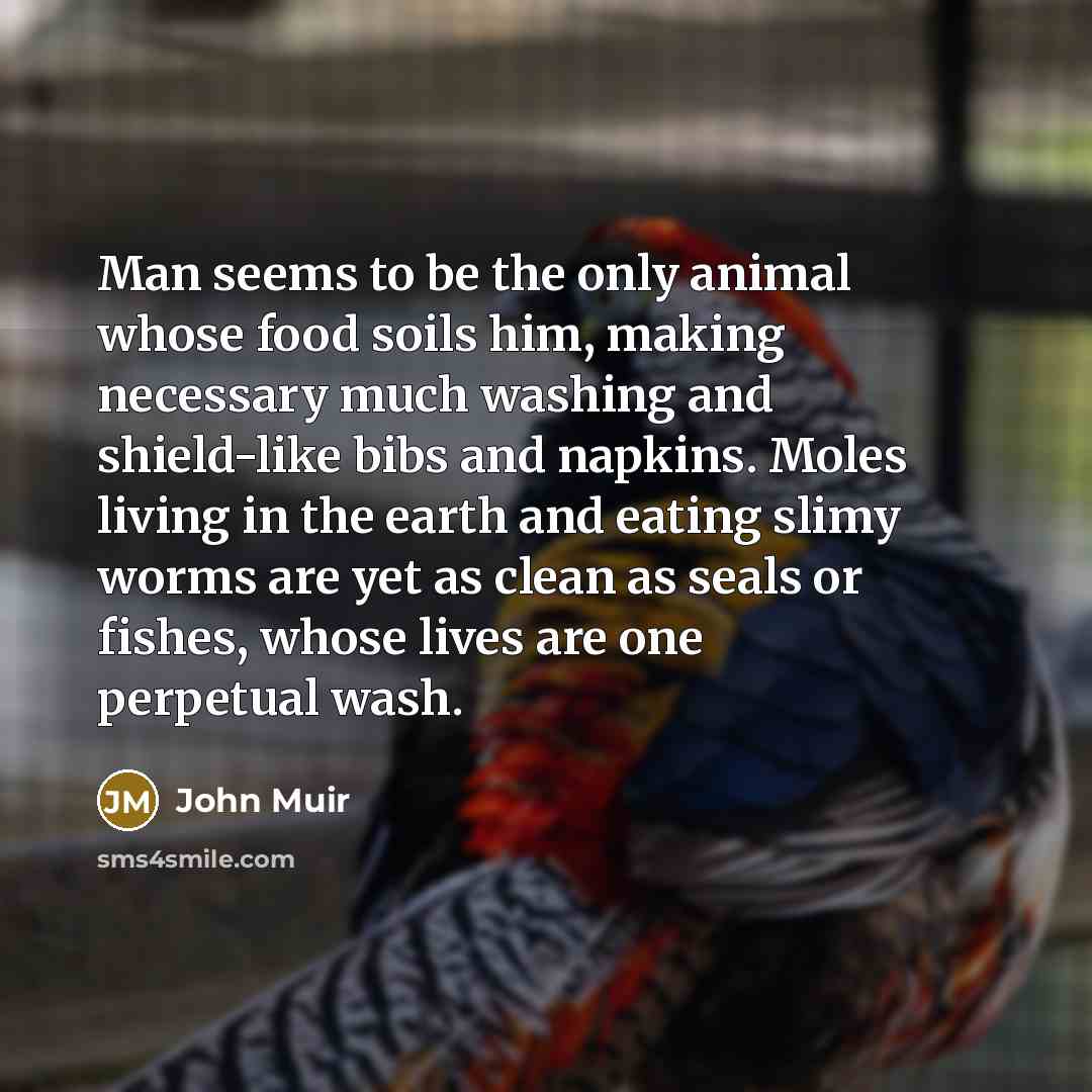 “Man seems to be the only animal whose food soils…” quote by John Muir