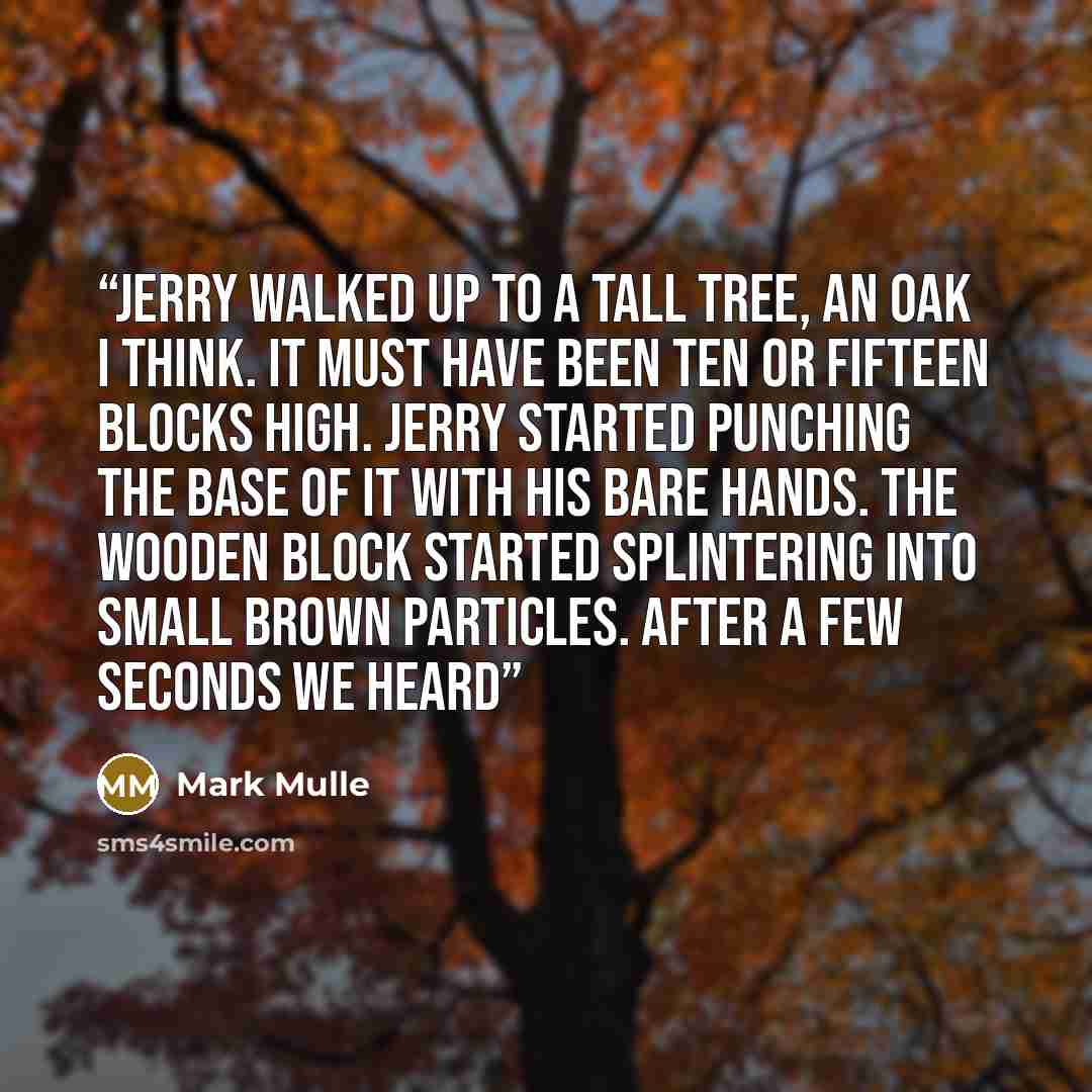 “Jerry walked up to a tall tree, an oak I think. It must have been ten or fifteen blocks high. Jerry started punching the base of it with his bare hands. The wooden block started splintering into small brown particles. After a few seconds we heard” quote by Mark Mulle