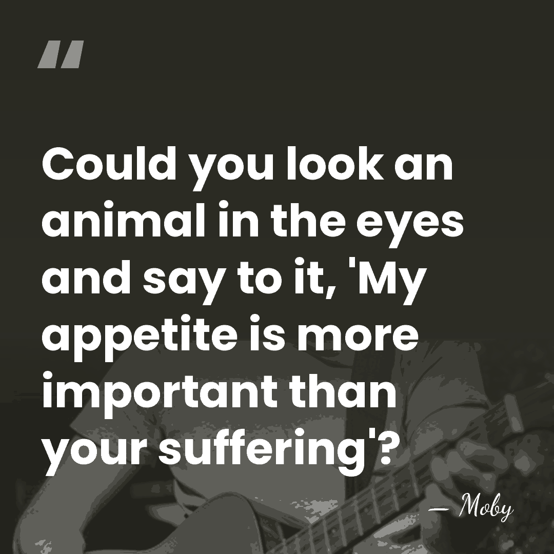 Could you look an animal in the eyes and say to it,&hellip; - Moby