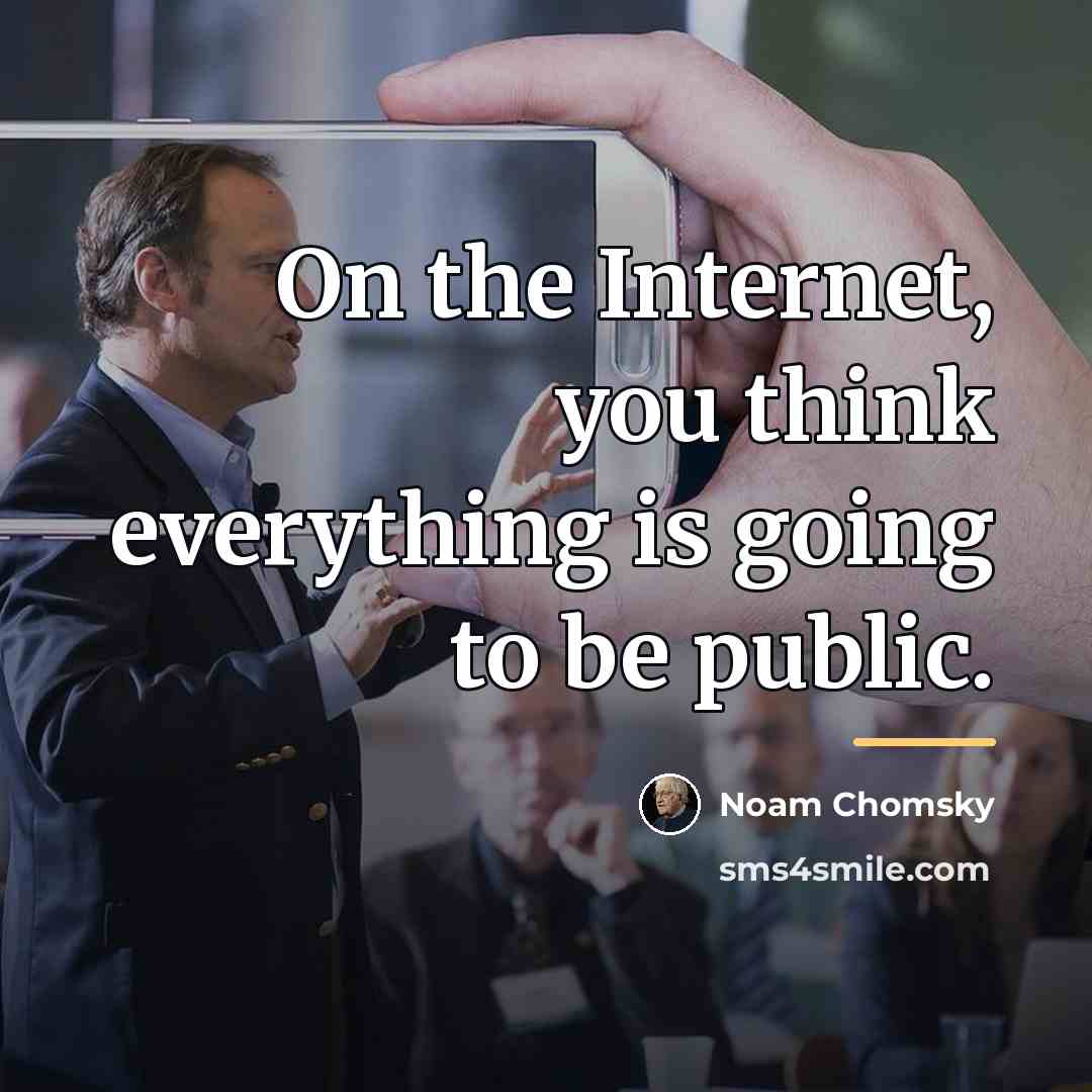 “On the Internet, you think everything is going to be…” quote by Noam Chomsky
