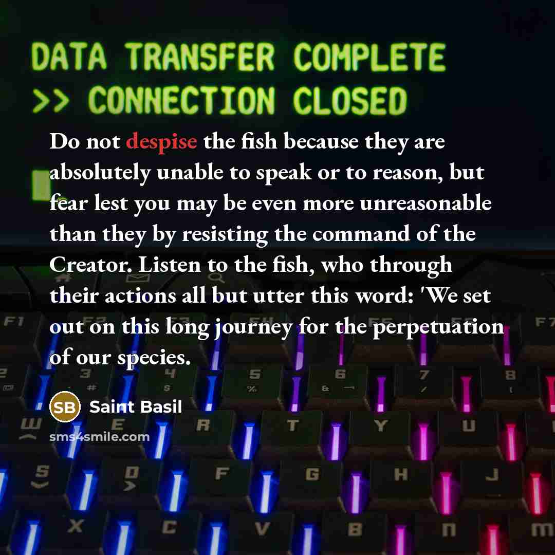 “Do not despise the fish because they are absolutely unable…” quote by Saint Basil