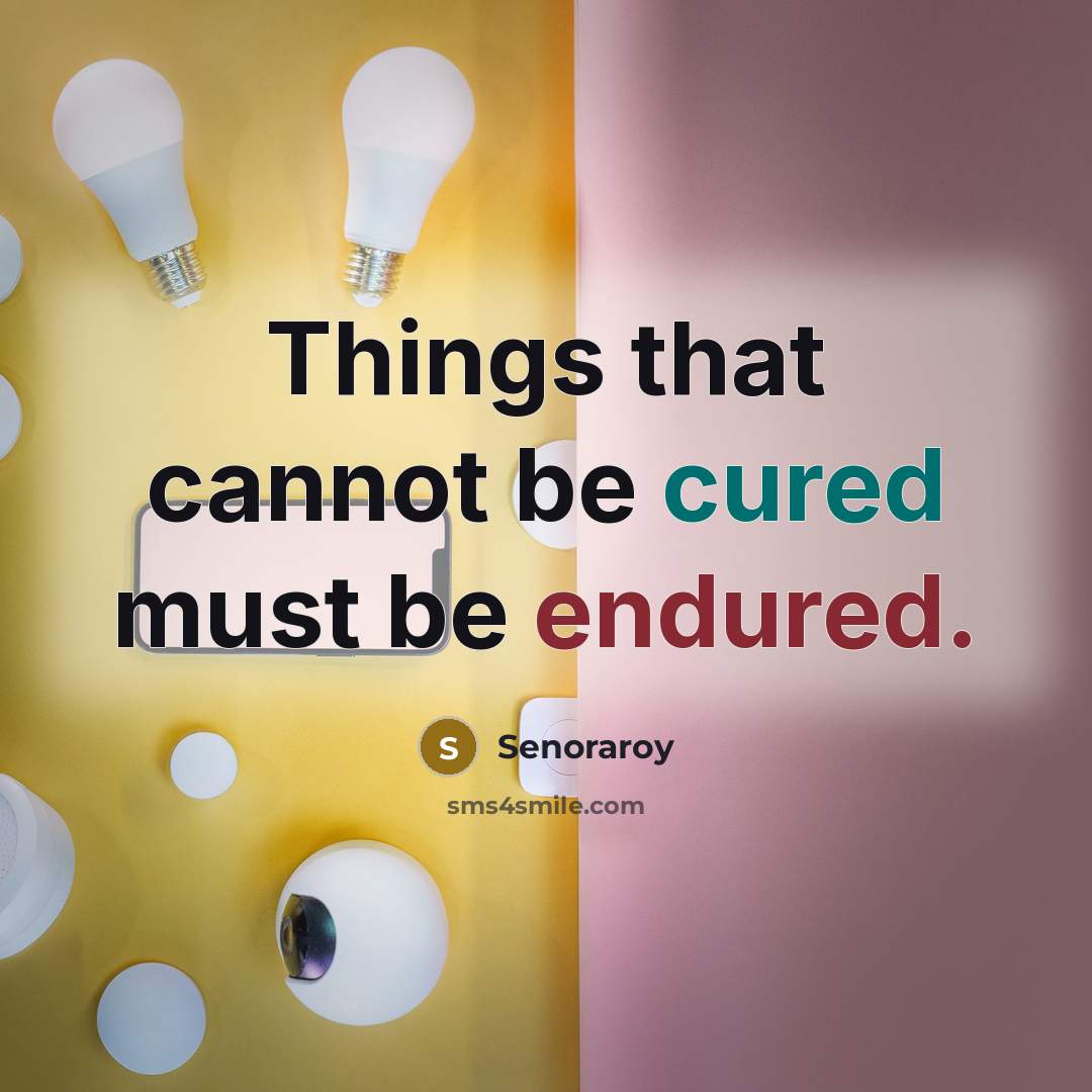 “Things that cannot be cured must be endured.” quote by Senoraroy