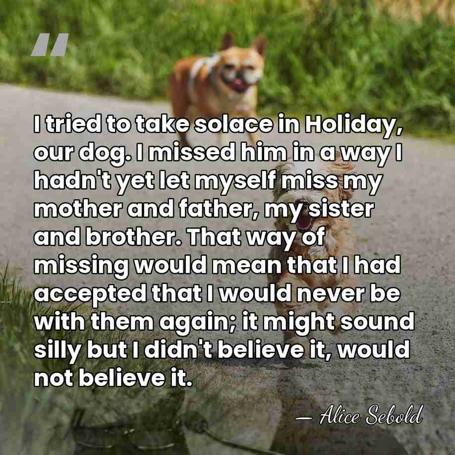 I tried to take solace in Holiday, our dog. I missed him&hellip; - Alice Sebold