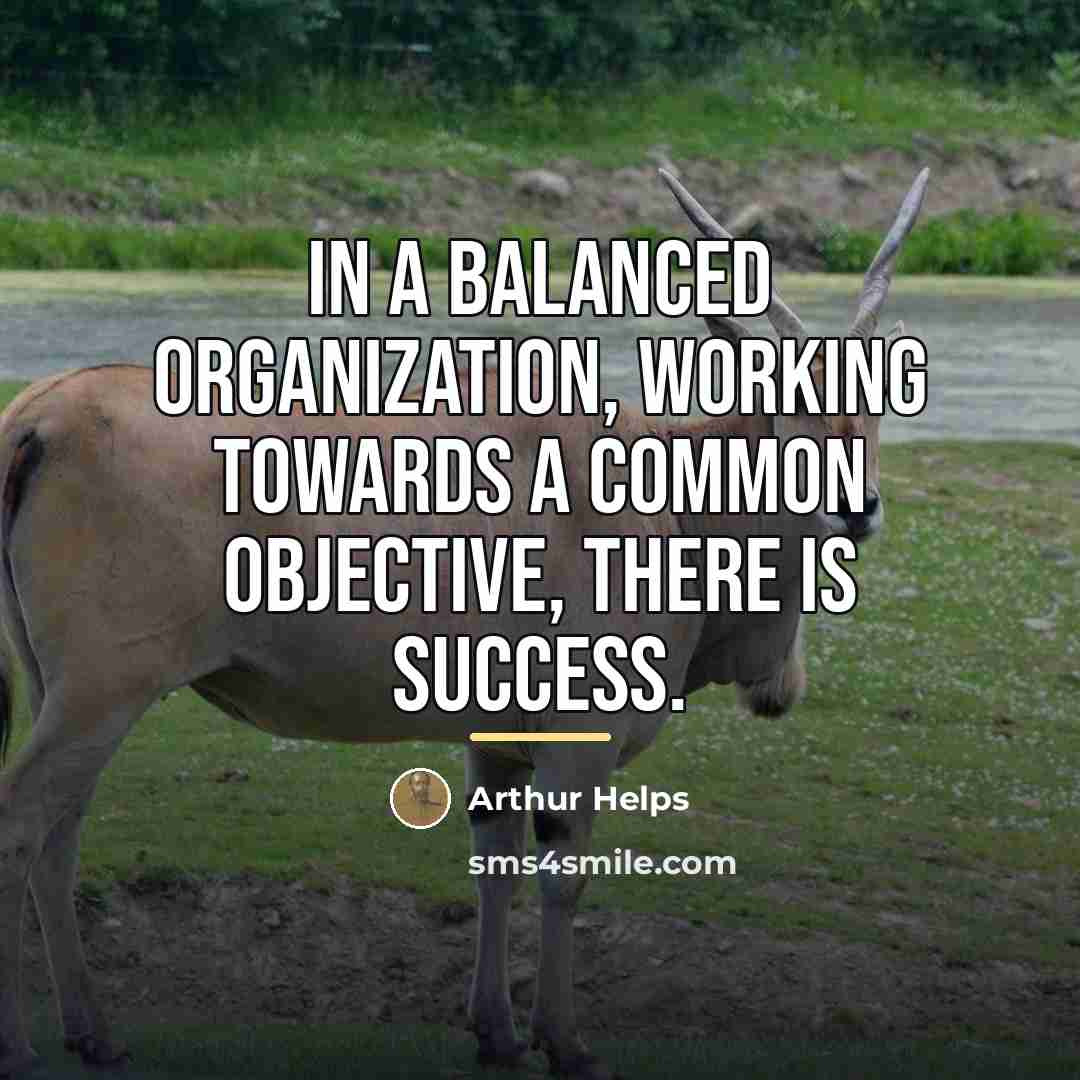 “In a balanced organization, working towards a common objective, there…” quote by Arthur Helps