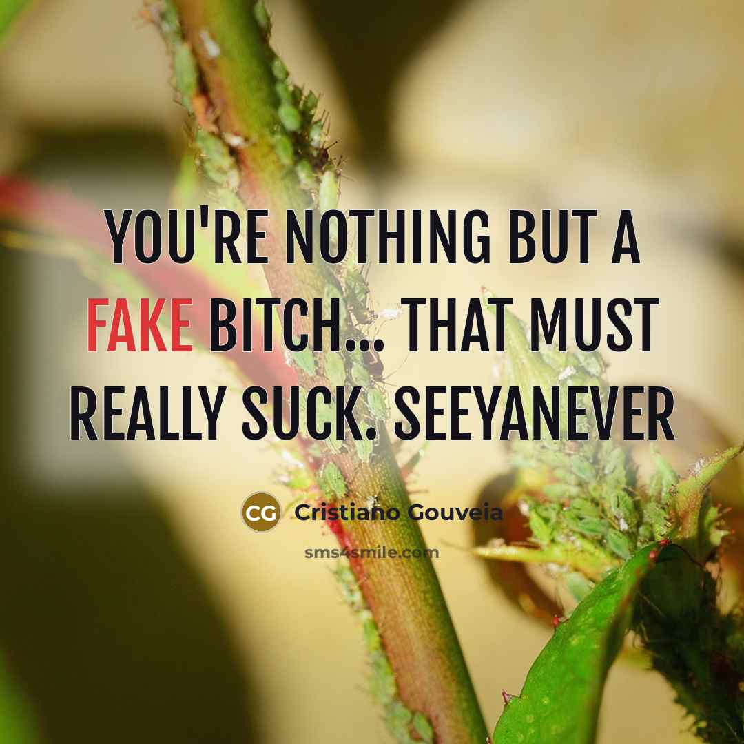“You're nothing but a fake bitch... That must really suck.…” quote by Cristiano Gouveia