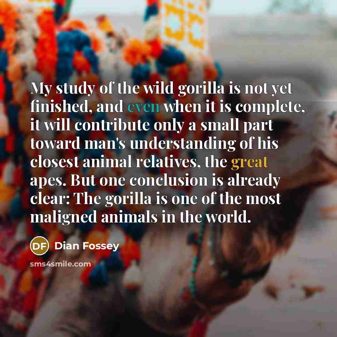 “My study of the wild gorilla is not yet finished,…” quote by Dian Fossey