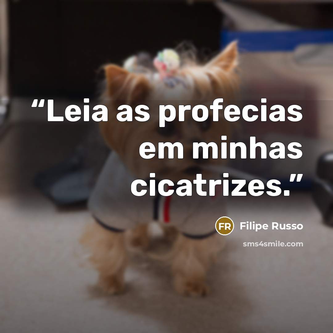 “Leia as profecias em minhas cicatrizes.” quote by Filipe Russo