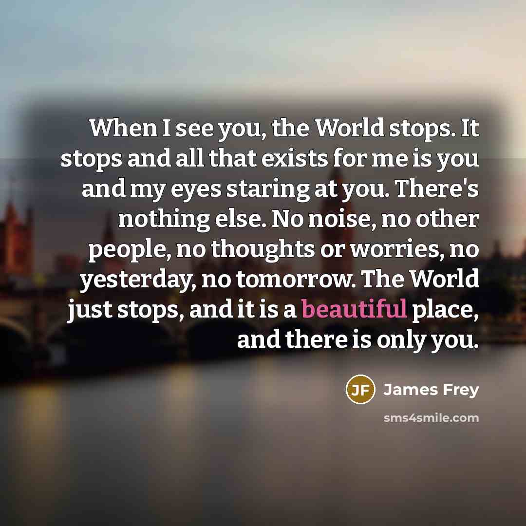 “When I see you, the World stops. It stops and…” quote by James Frey