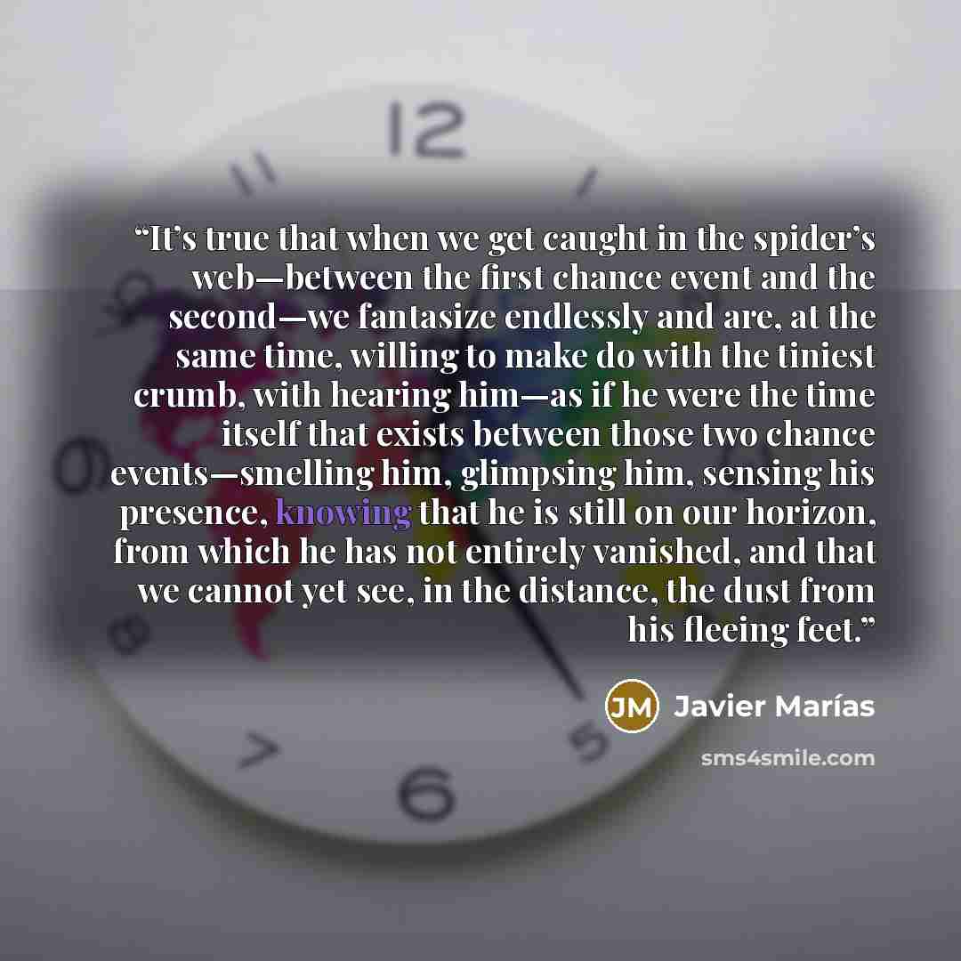“It’s true that when we get caught in the spider’s web—between the first chance event and the second—we fantasize endlessly and are, at the same time, willing to make do with the tiniest crumb, with hearing him—as if he were the time itself that exists between those two chance events—smelling him…” quote by Javier Marías