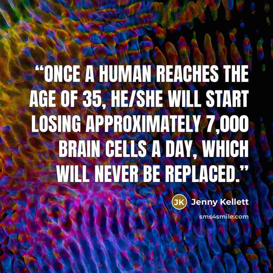 “Once a human reaches the age of 35, he/she will start losing approximately 7,000 brain cells a day, which will never be replaced.” quote by Jenny Kellett