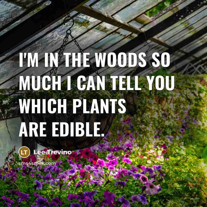 “I'm in the woods so much I can tell you which plants are edible.” quote by Lee Trevino