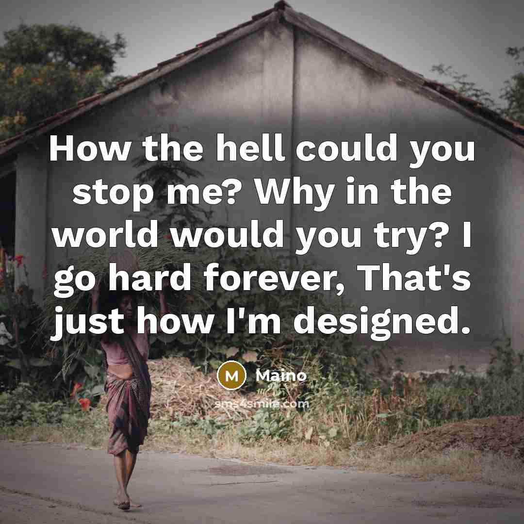 “How the hell could you stop me? Why in the world would you try? I go hard forever, That's just how I'm designed.” quote by Maino