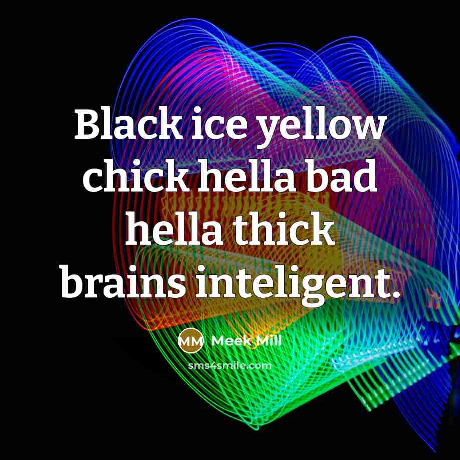 “Black ice yellow chick hella bad hella thick brains inteligent.…” quote by Meek Mill