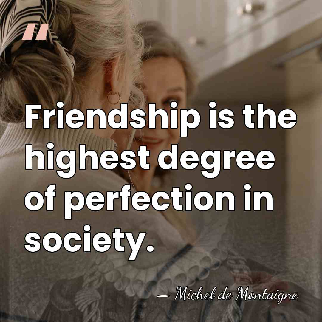 Friendship is the highest degree of perfection in society. - Michel de Montaigne