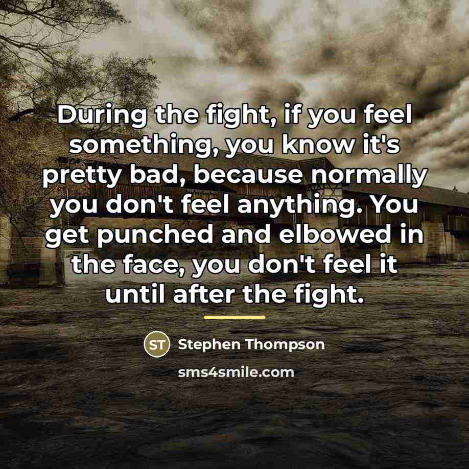 “During the fight, if you feel something, you know it's…” quote by Stephen Thompson