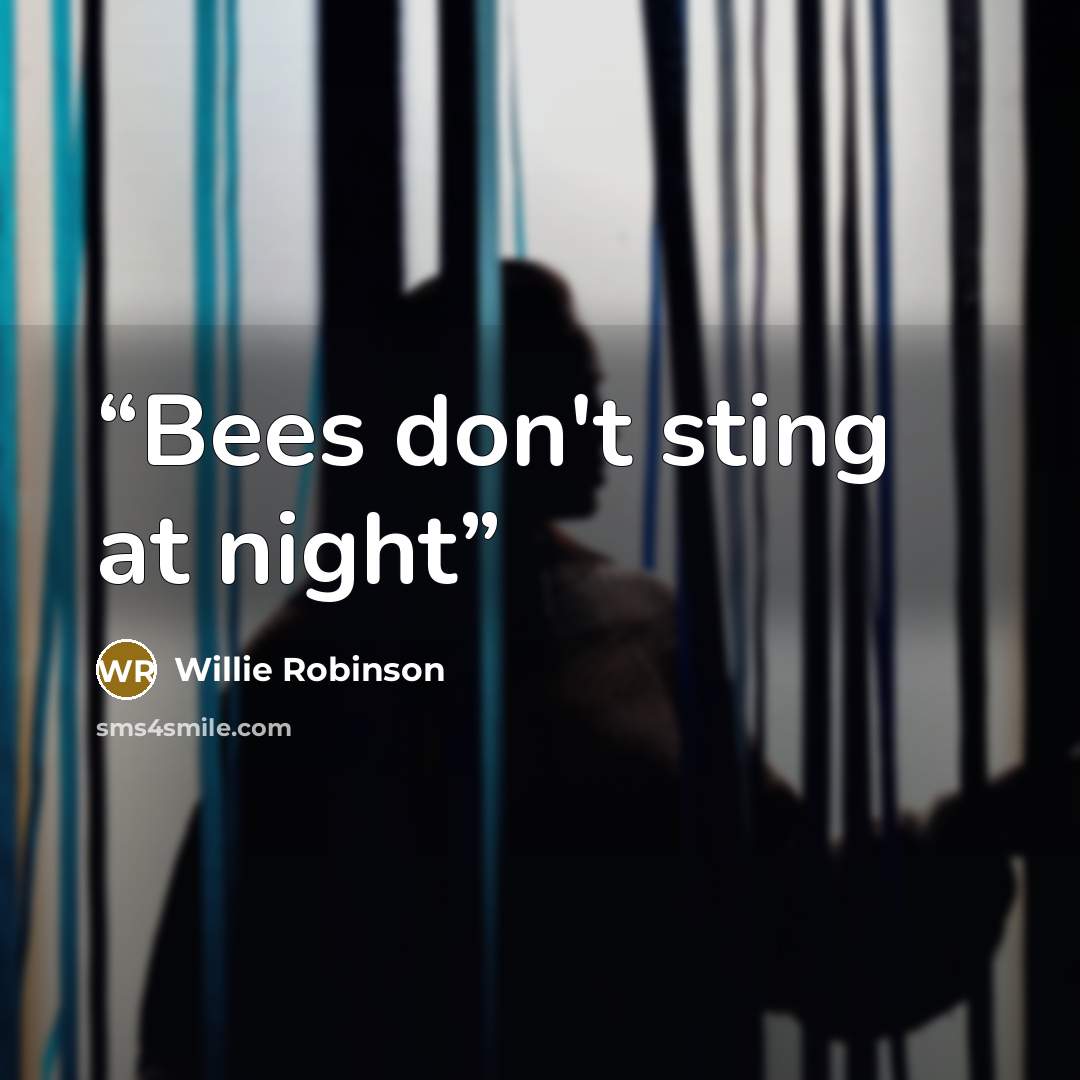 “Bees don't sting at night” quote by Willie Robinson