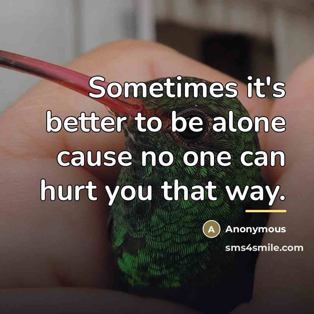 “Sometimes it's better to be alone cause no one can…” quote by Anonymous