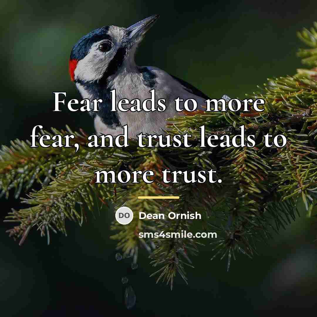 “Fear leads to more fear, and trust leads to more…” quote by Dean Ornish