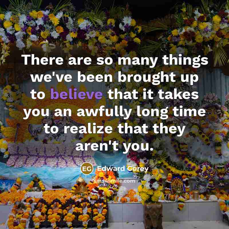 “There are so many things we've been brought up to…” quote by Edward Gorey
