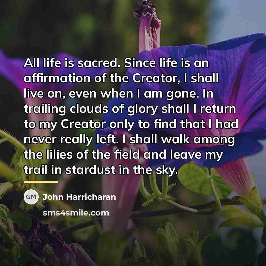 “All life is sacred. Since life is an affirmation of…” quote by John Harricharan