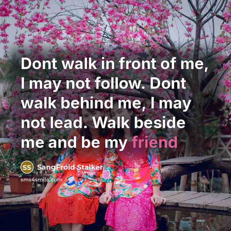 “Dont walk in front of me, I may not follow.…” quote by SangFroid Stalker