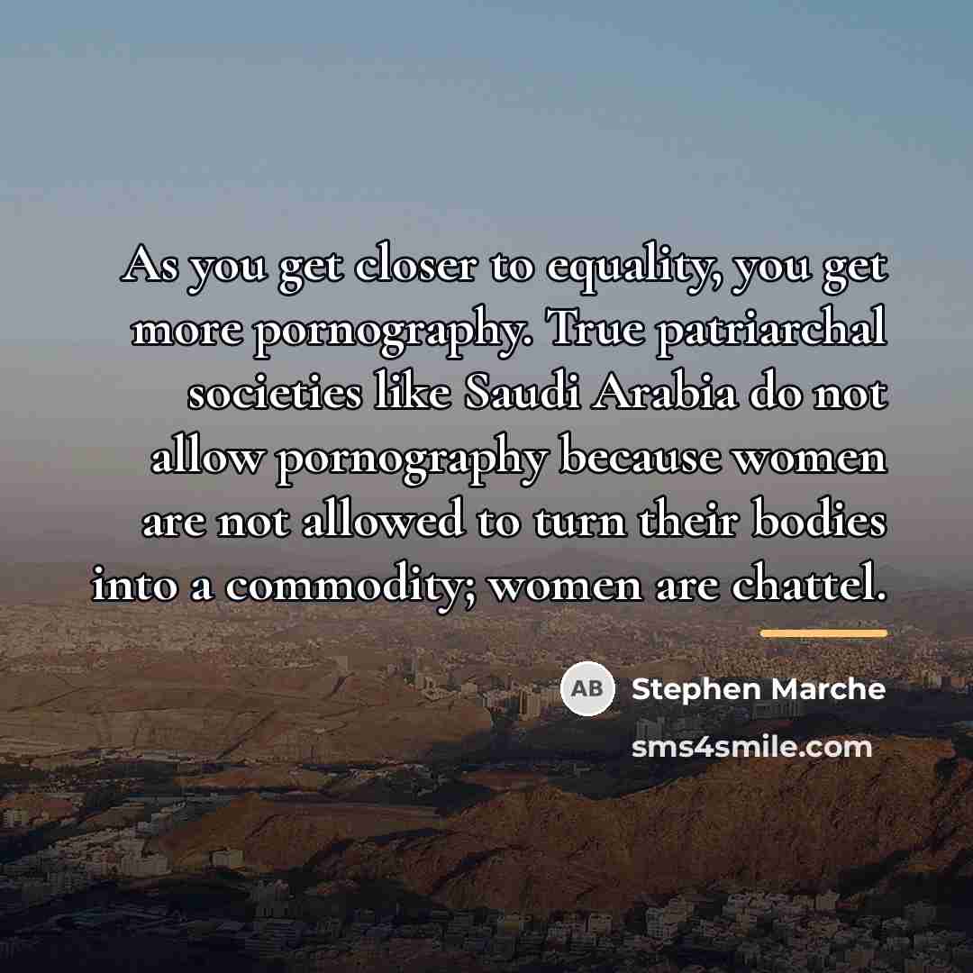 “As you get closer to equality, you get more pornography.…” quote by Stephen Marche