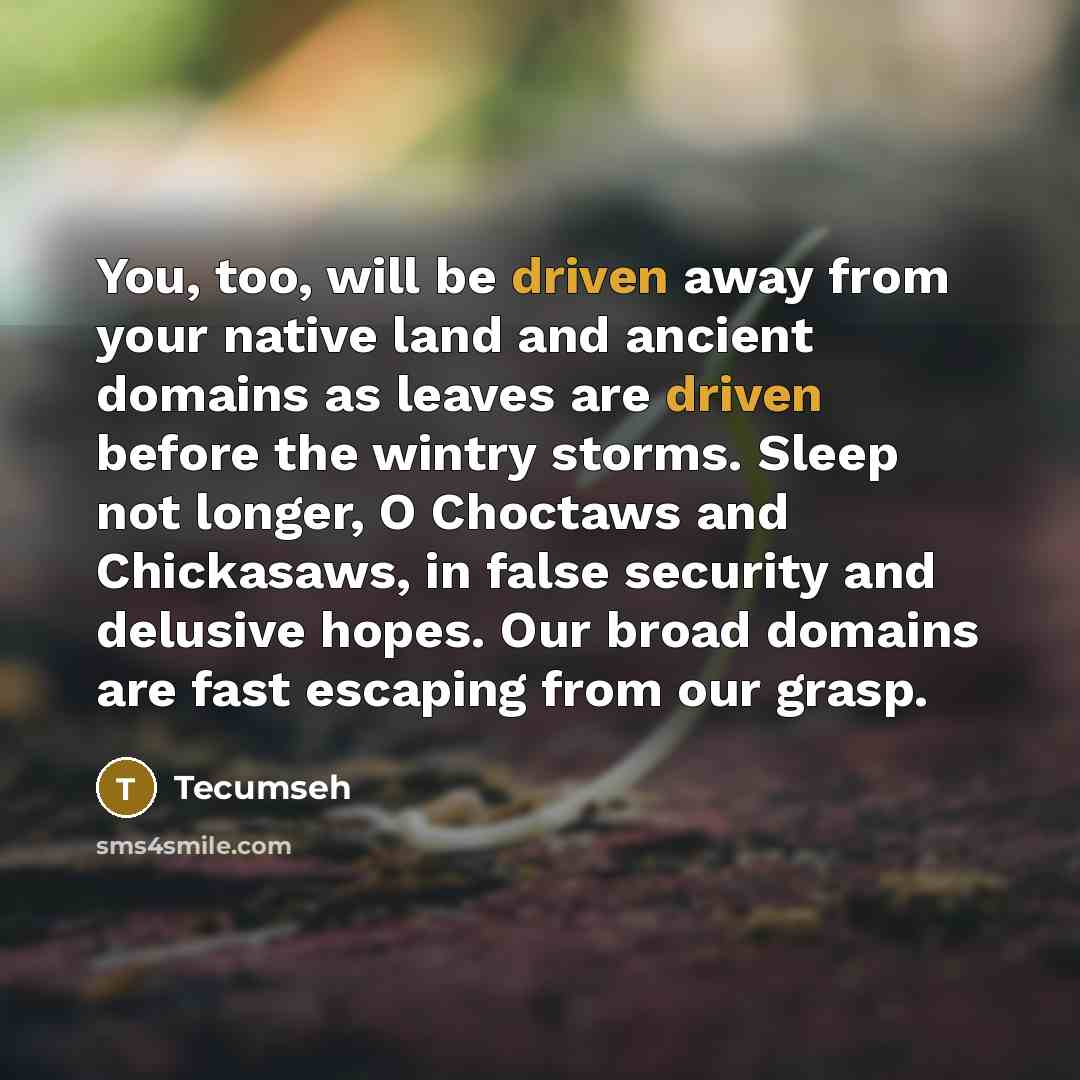 “You, too, will be driven away from your native land…” quote by Tecumseh