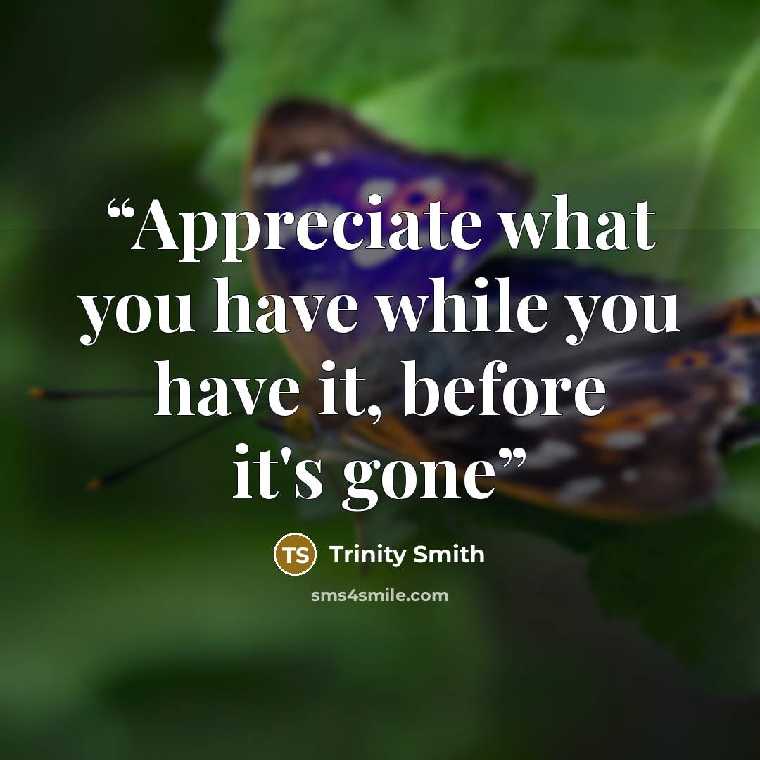 “Appreciate what you have while you have it, before it's gone” quote by Trinity Smith