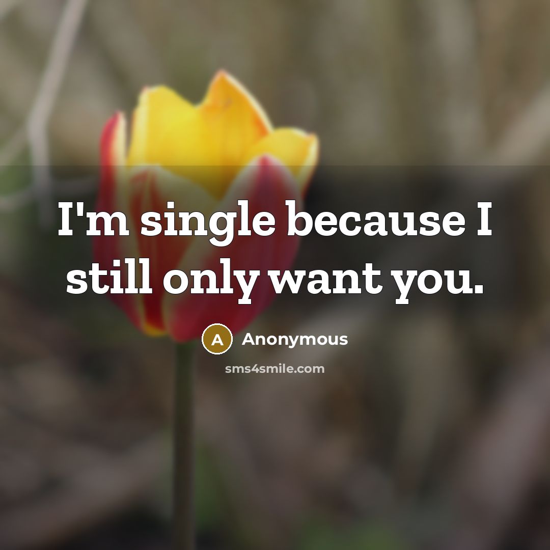 “I'm single because I still only want you.” quote by Anonymous