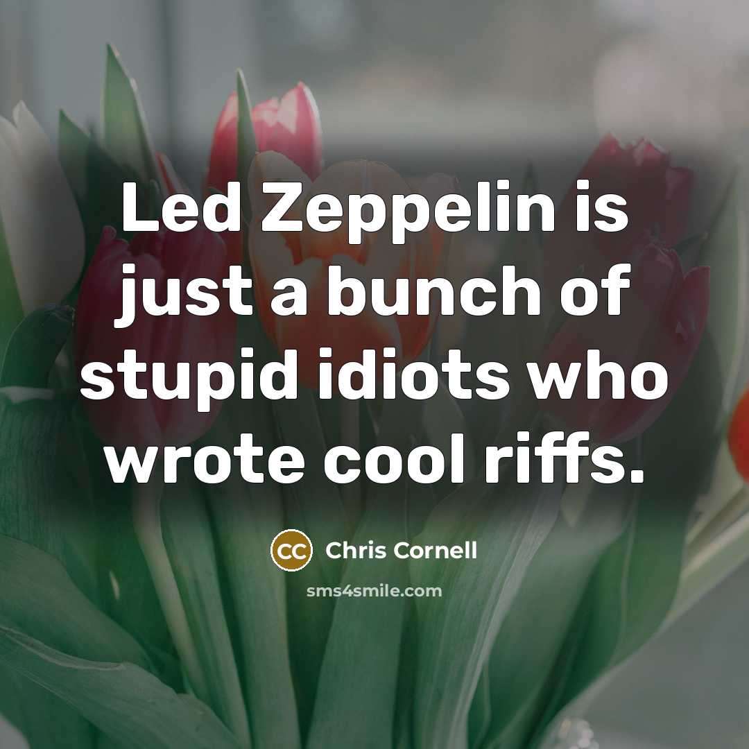 “Led Zeppelin is just a bunch of stupid idiots who…” quote by Chris Cornell