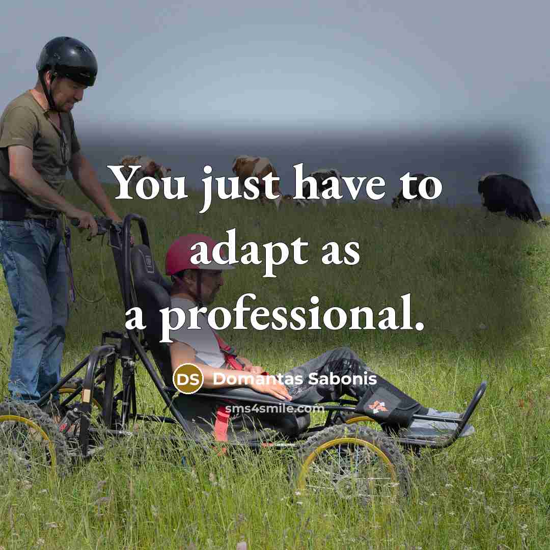 “You just have to adapt as a professional.…” quote by Domantas Sabonis