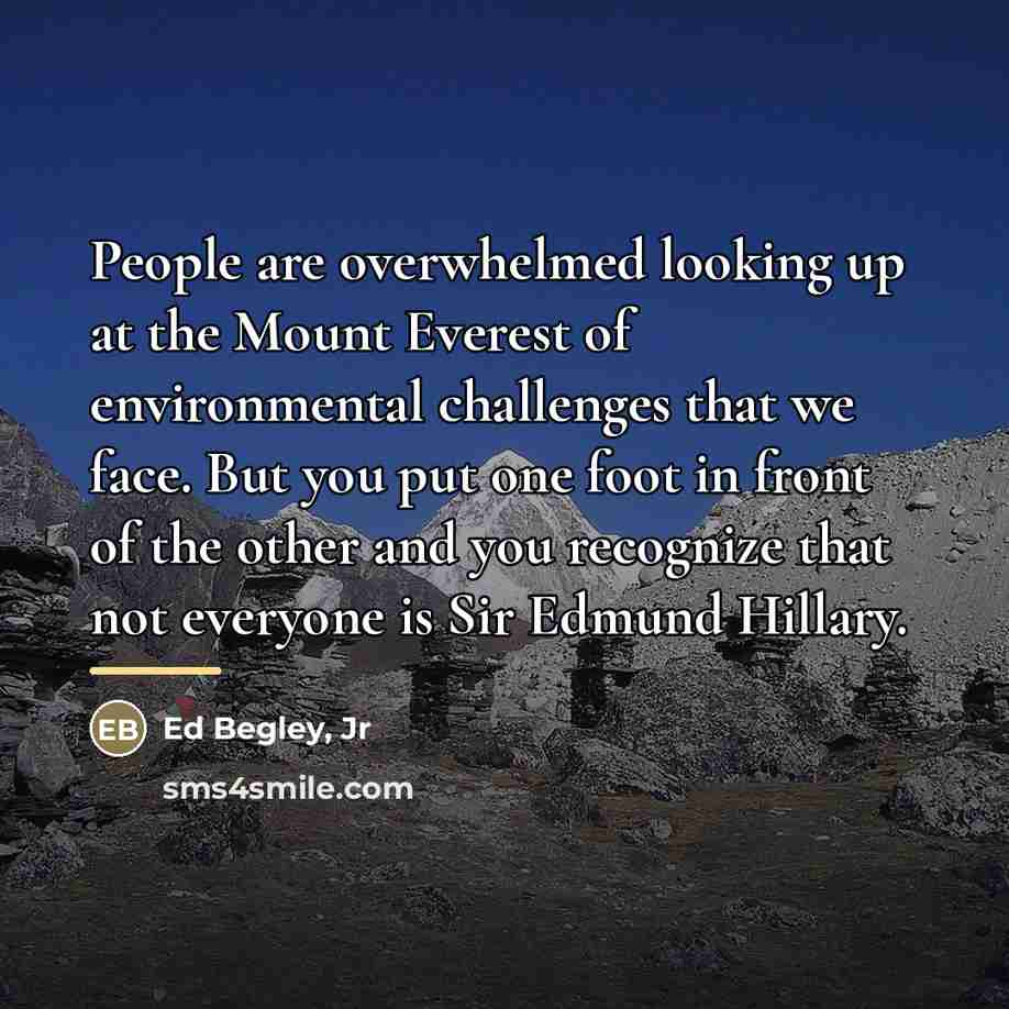 “People are overwhelmed looking up at the Mount Everest of…” quote by Ed Begley, Jr