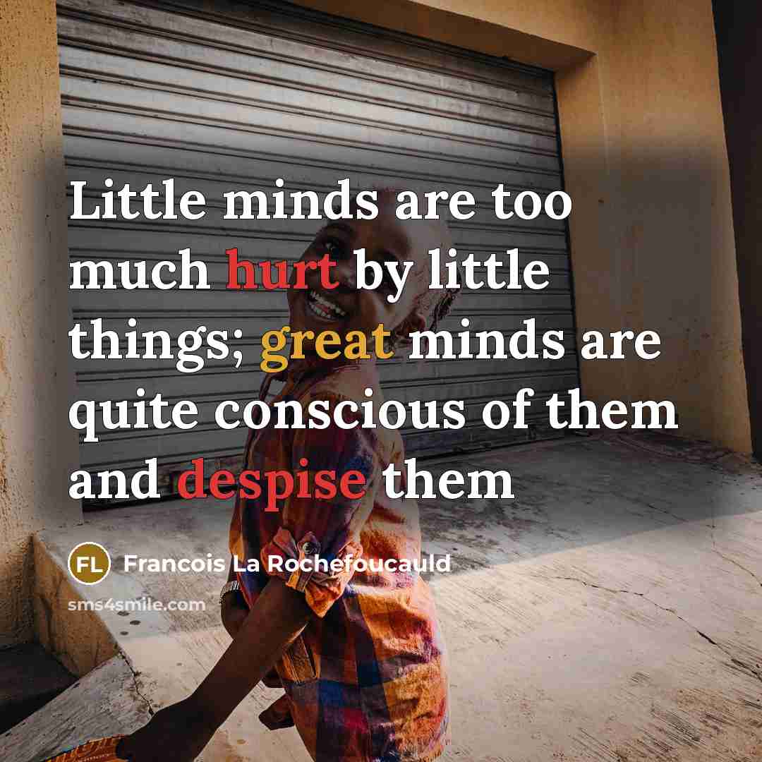 “Little minds are too much hurt by little things; great minds are quite conscious of them and despise them” quote by Francois La Rochefoucauld