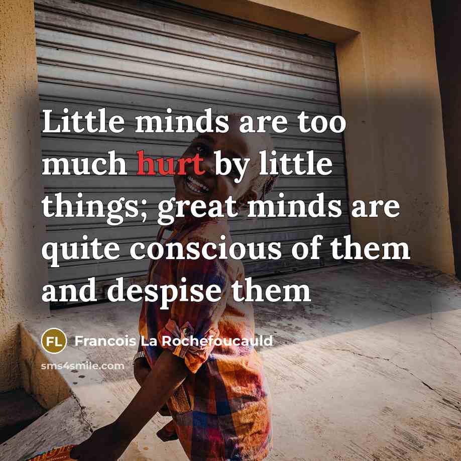 “Little minds are too much hurt by little things; great…” quote by Francois La Rochefoucauld