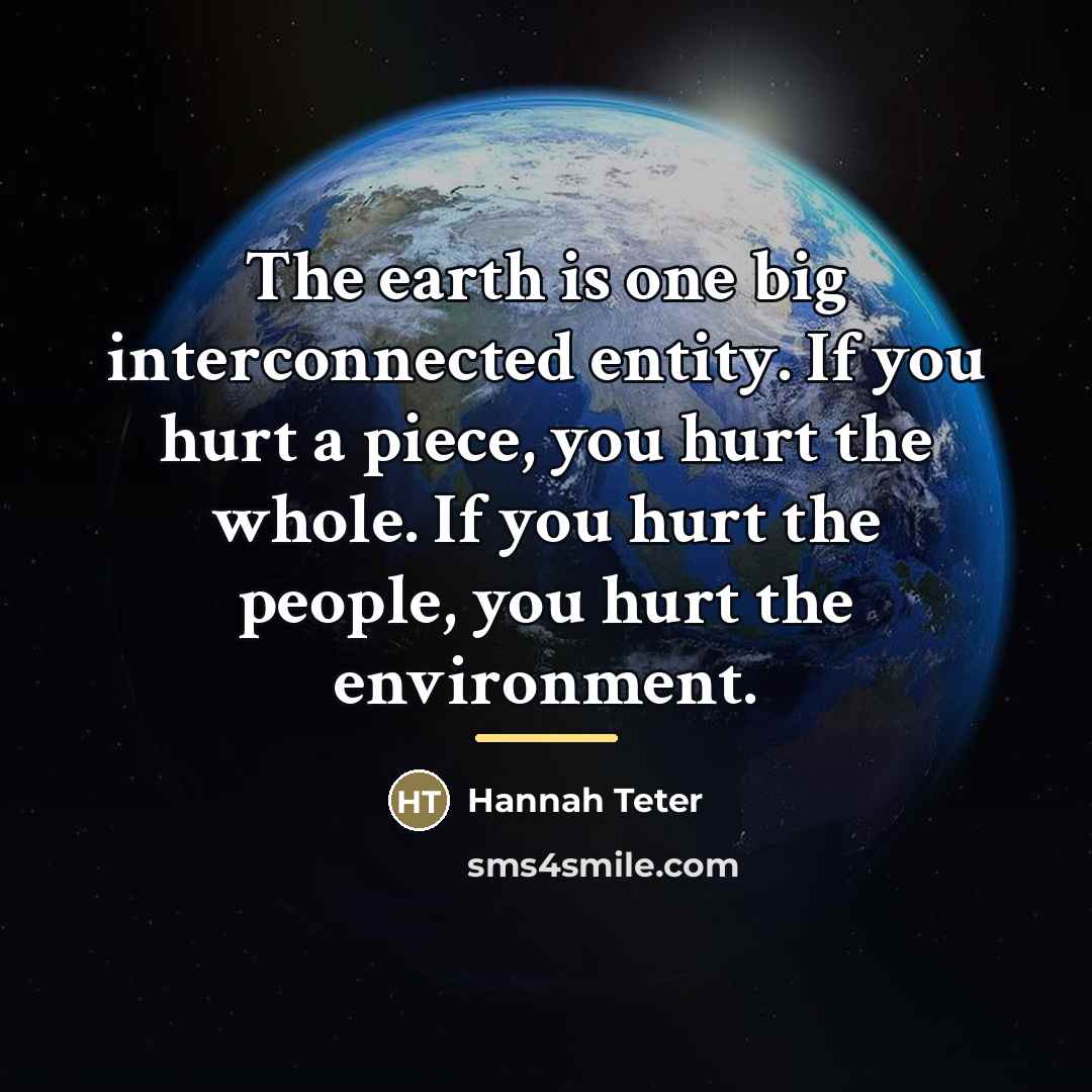 “The earth is one big interconnected entity. If you hurt…” quote by Hannah Teter