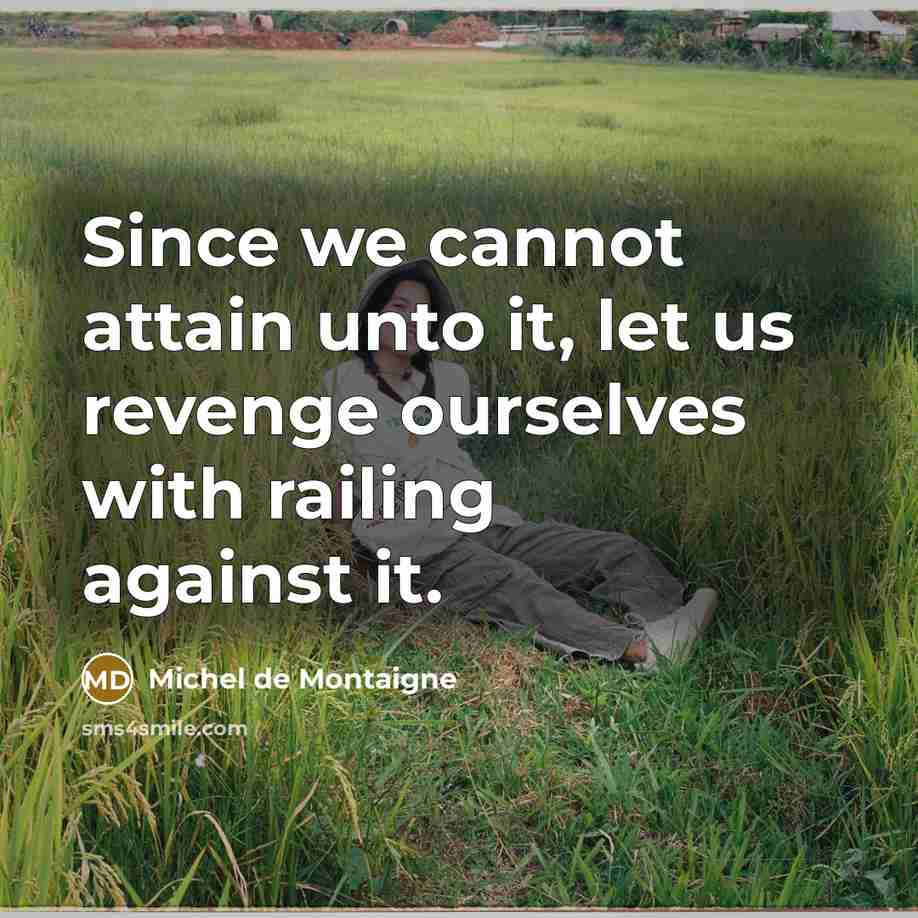 “Since we cannot attain unto it, let us revenge ourselves…” quote by Michel de Montaigne